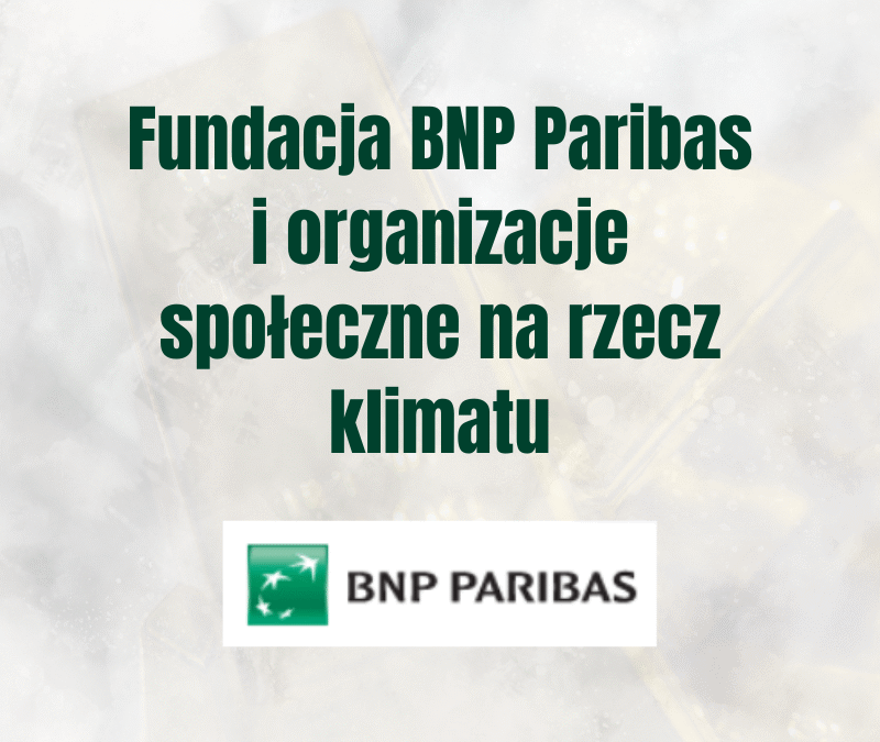 Rok wspólnych działań na rzecz klimatu. Fundacja BNP Paribas i organizacje społeczne